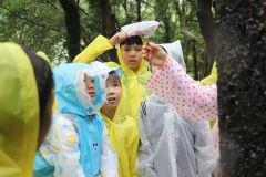 四联社区|亲子自然科普教育活动-野地上